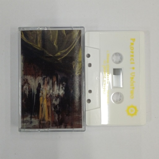 PROFECI - Ubostwo