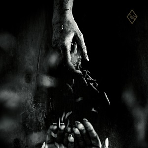 NON OPUS DEI - Głód