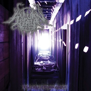 Sylvan Realm - The Lodge Of Transcendence